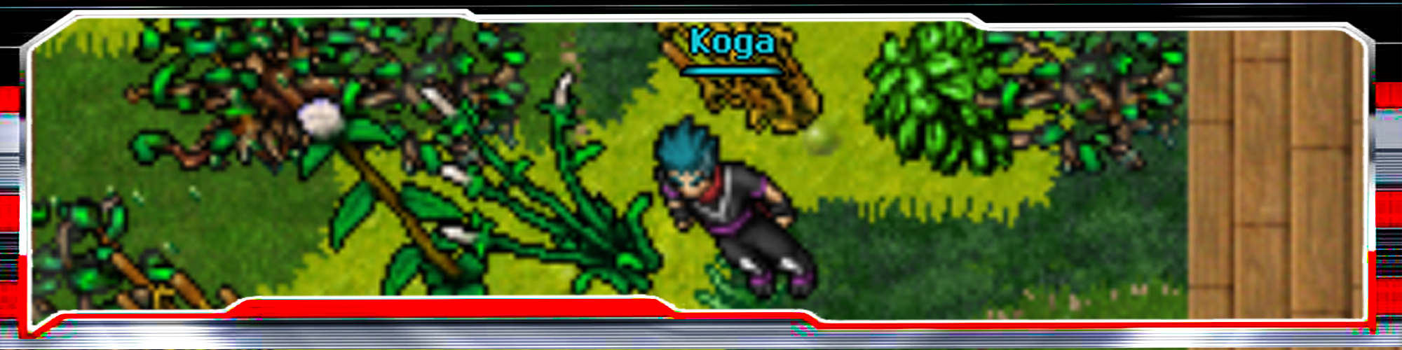 Koga